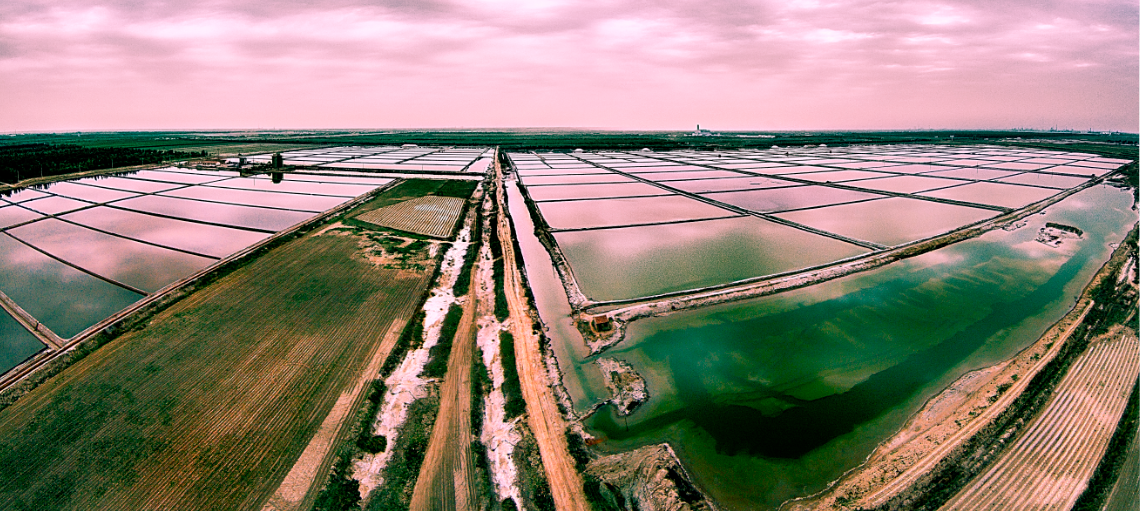 ���ֹ���F66��(�й���)�ٷ���վ