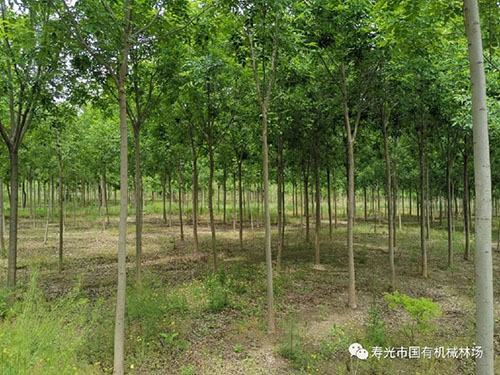 ���ֹ���F66��(�й���)�ٷ���վ