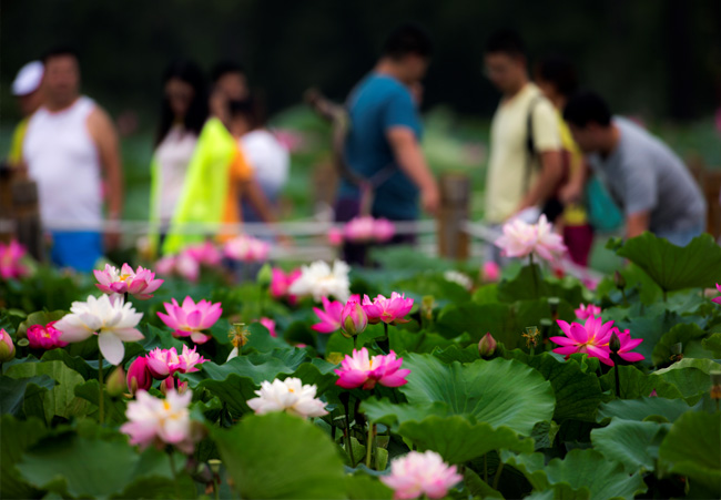 ���ֹ���F66��(�й���)�ٷ���վ