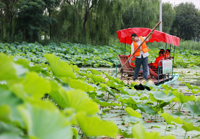 ���ֹ���F66��(�й���)�ٷ���վ