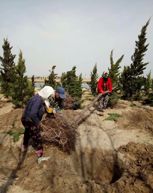 ���ֹ���F66��(�й���)�ٷ���վ