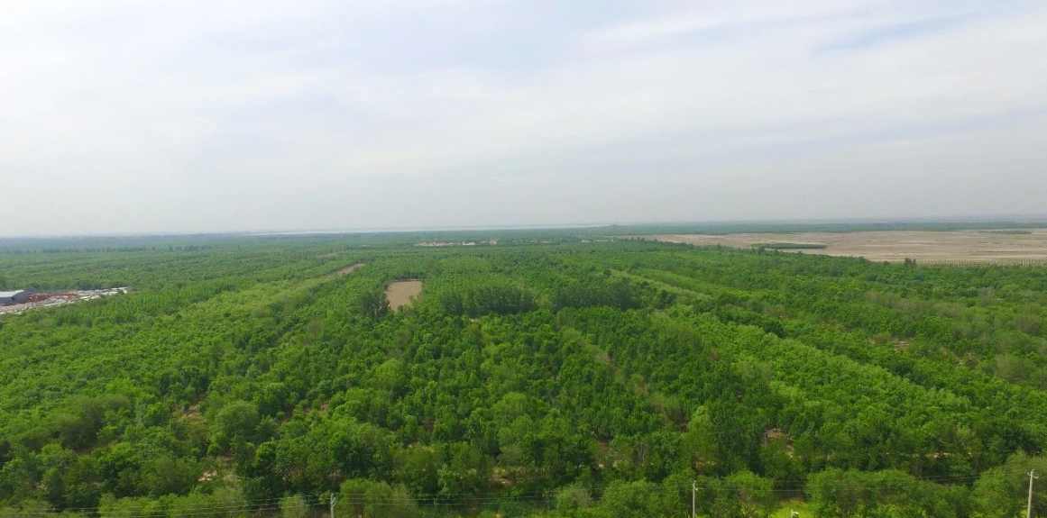 ���ֹ���F66��(�й���)�ٷ���վ