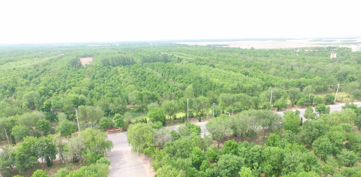 ���ֹ���F66��(�й���)�ٷ���վ