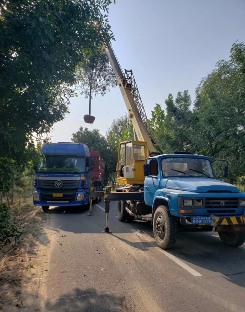 ���ֹ���F66��(�й���)�ٷ���վ