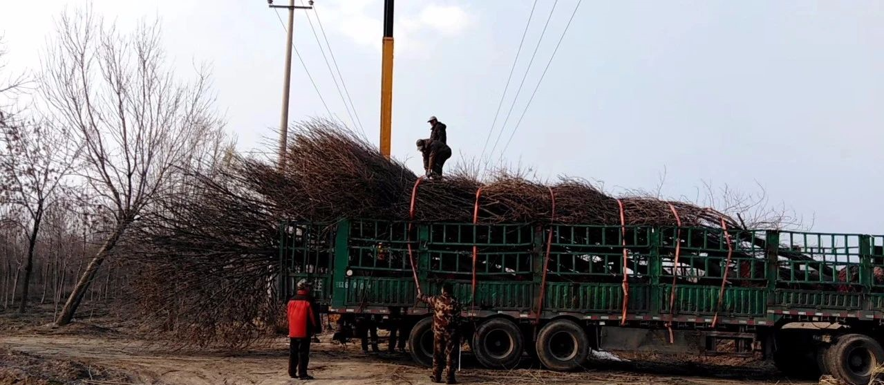 ���ֹ���F66��(�й���)�ٷ���վ