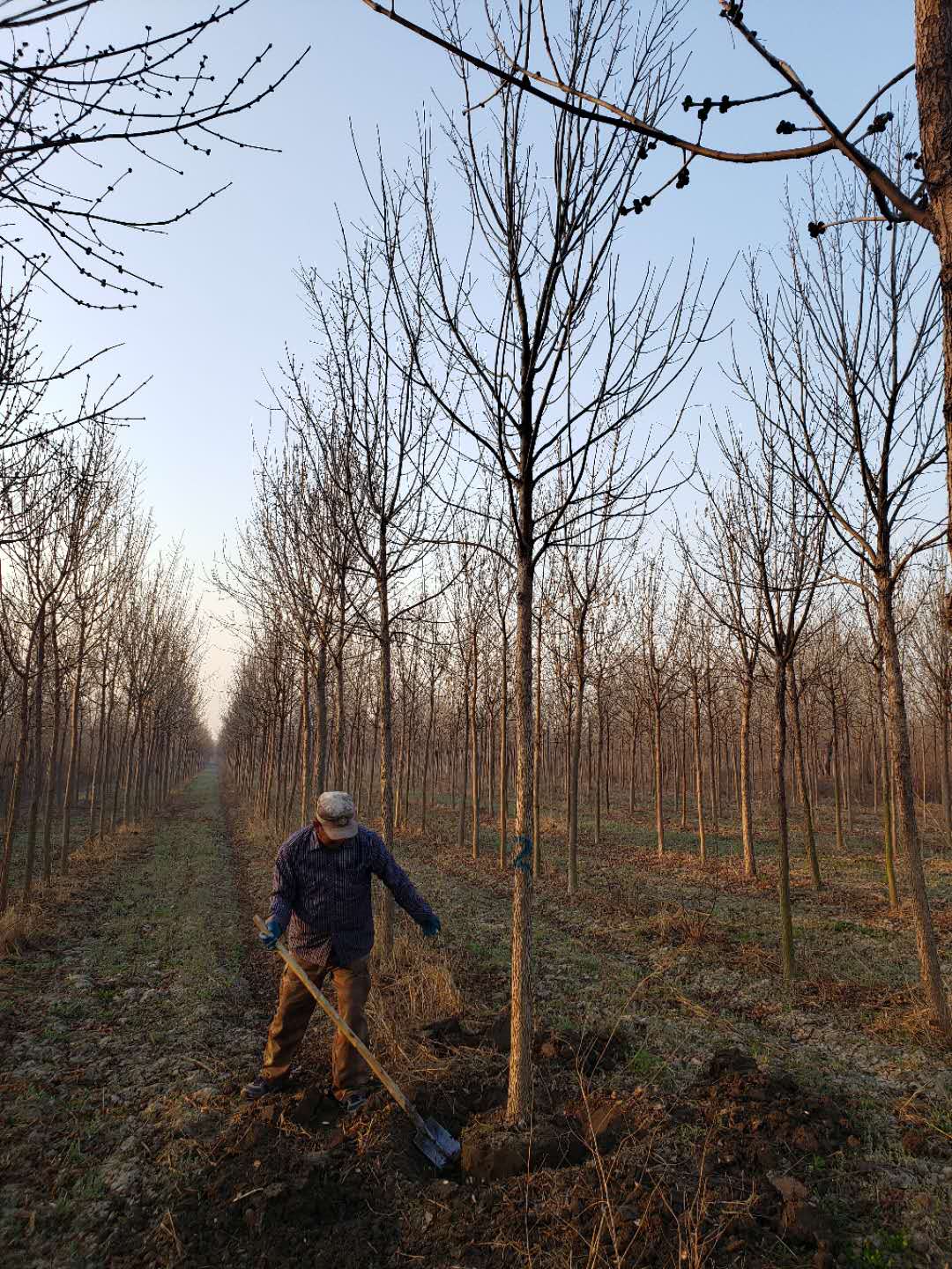 ���ֹ���F66��(�й���)�ٷ���վ