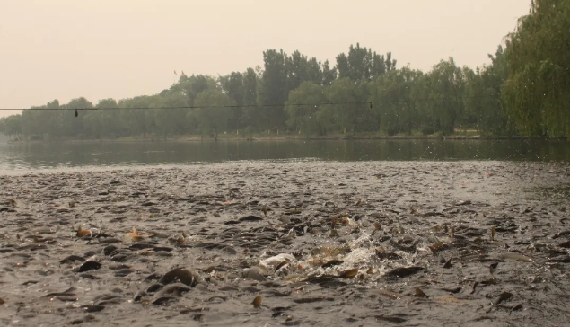 永乐国际F66·(中国游)官方网站