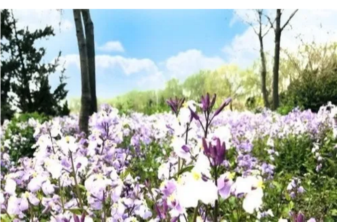 ���ֹ���F66��(�й���)�ٷ���վ