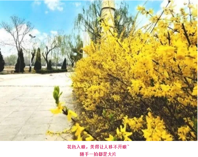 ���ֹ���F66��(�й���)�ٷ���վ