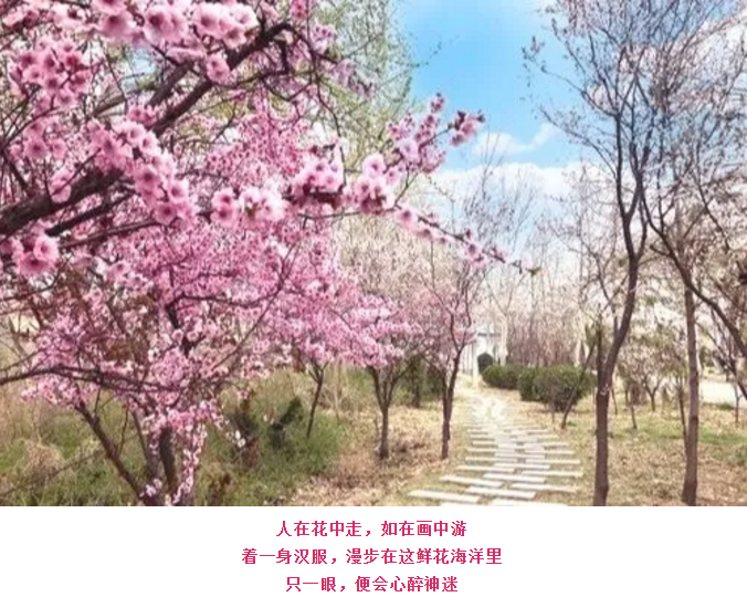 ���ֹ���F66��(�й���)�ٷ���վ