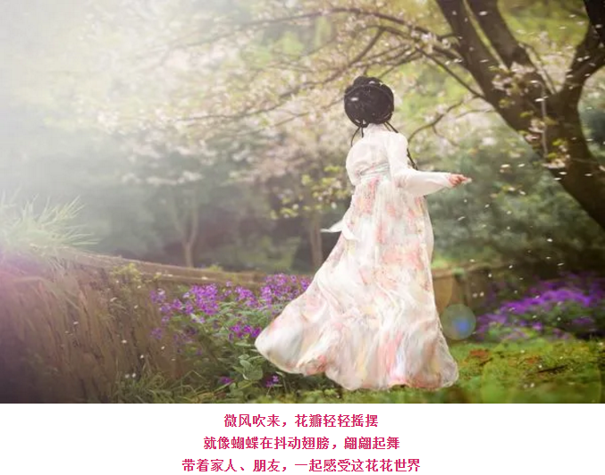 ���ֹ���F66��(�й���)�ٷ���վ