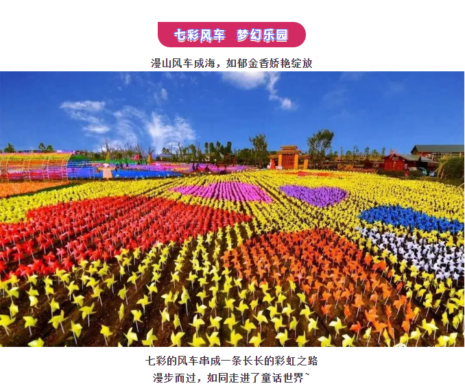 ���ֹ���F66��(�й���)�ٷ���վ