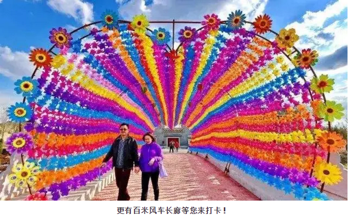 ���ֹ���F66��(�й���)�ٷ���վ