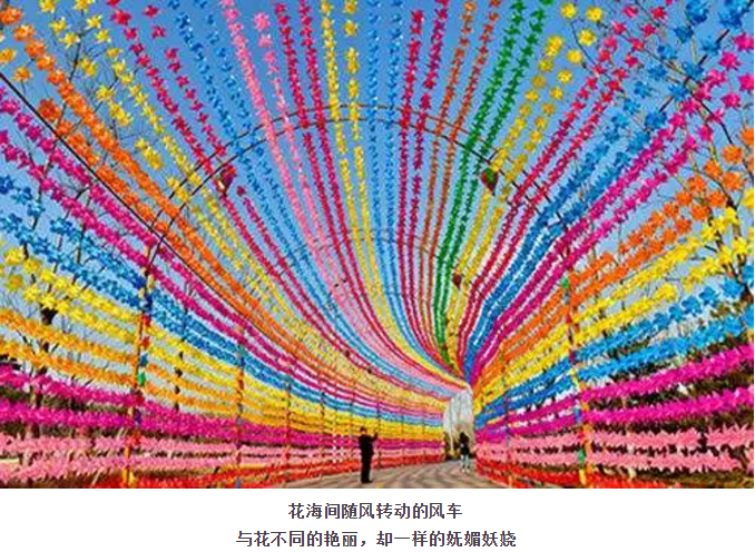 ���ֹ���F66��(�й���)�ٷ���վ