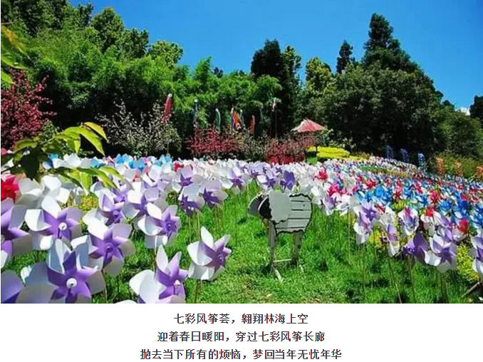 ���ֹ���F66��(�й���)�ٷ���վ