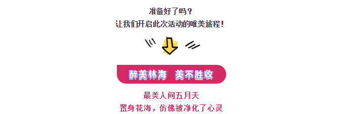 ���ֹ���F66��(�й���)�ٷ���վ