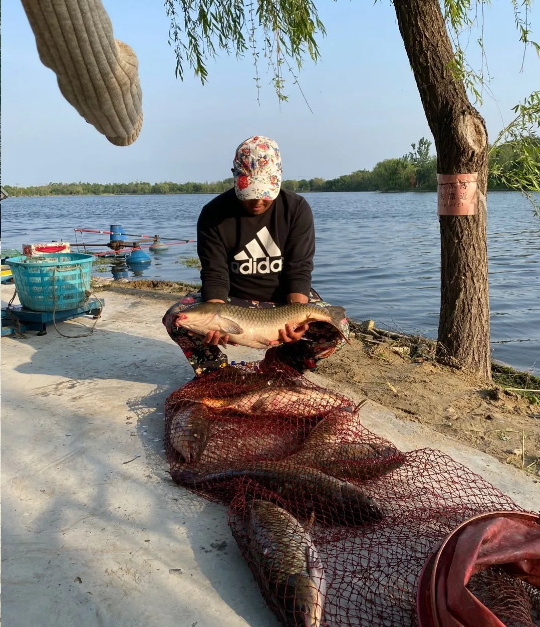 ���ֹ���F66��(�й���)�ٷ���վ