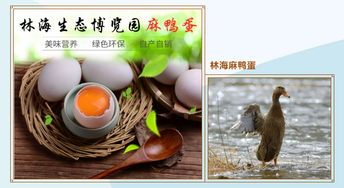 ���ֹ���F66��(�й���)�ٷ���վ