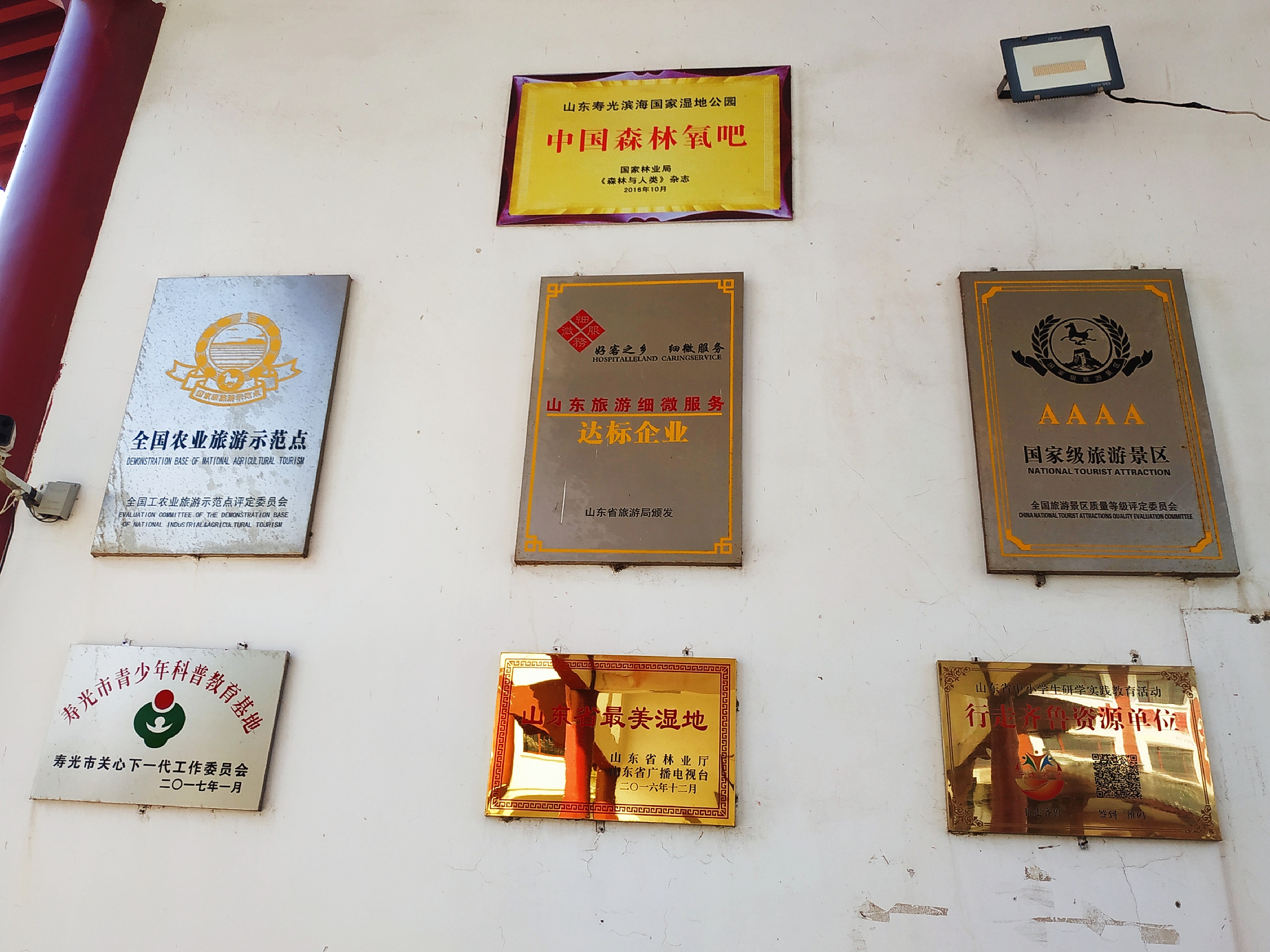 ���ֹ���F66��(�й���)�ٷ���վ