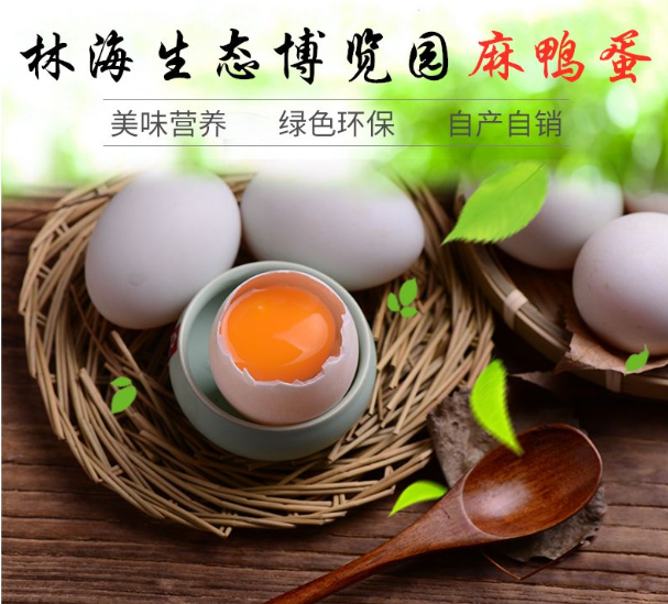 ���ֹ���F66��(�й���)�ٷ���վ