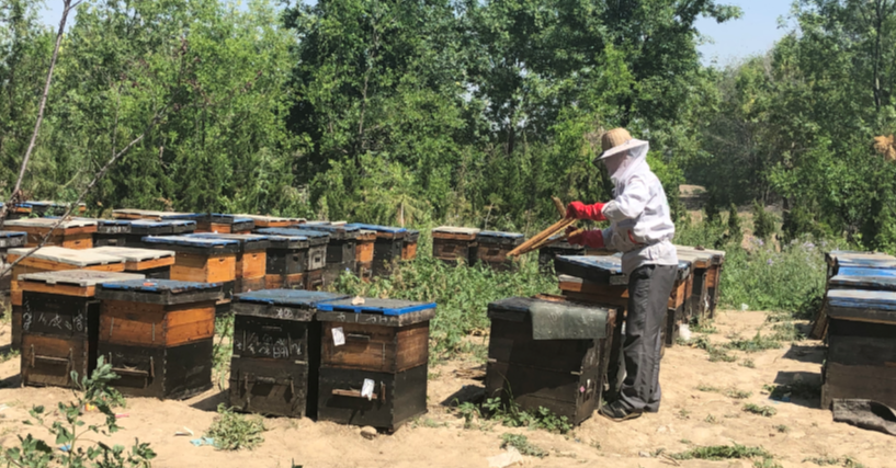 ���ֹ���F66��(�й���)�ٷ���վ