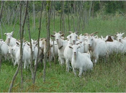 ���ֹ���F66��(�й���)�ٷ���վ