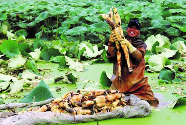 ���ֹ���F66��(�й���)�ٷ���վ