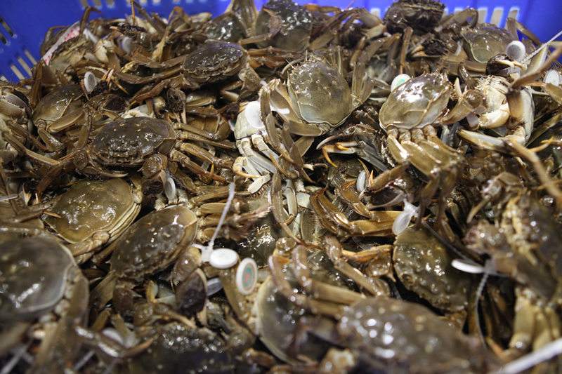 ���ֹ���F66��(�й���)�ٷ���վ