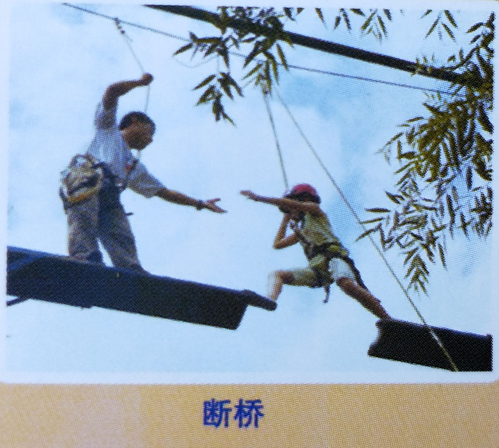 ���ֹ���F66��(�й���)�ٷ���վ