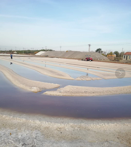 ���ֹ���F66��(�й���)�ٷ���վ