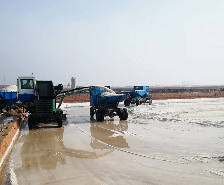 ���ֹ���F66��(�й���)�ٷ���վ