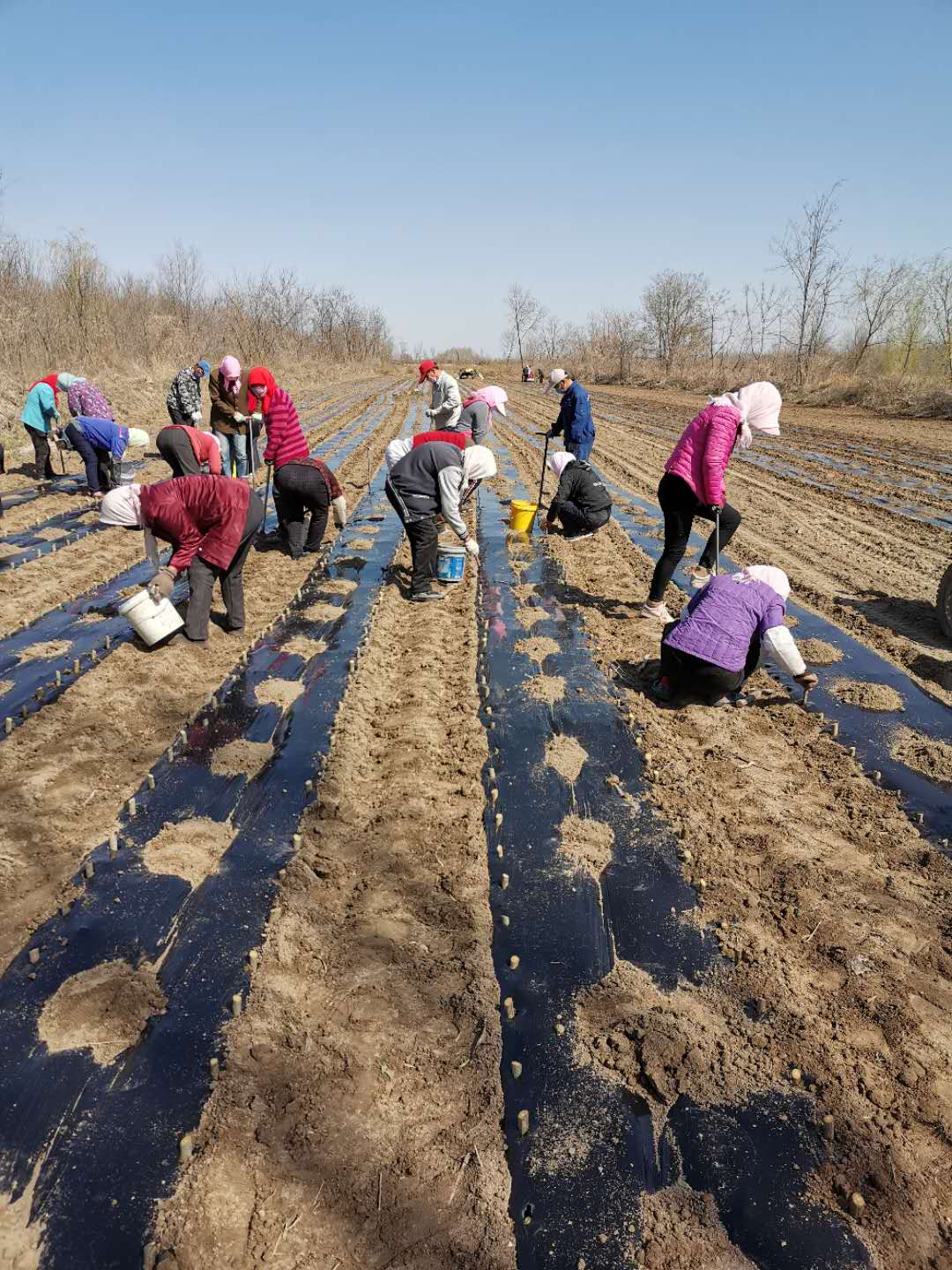 ���ֹ���F66��(�й���)�ٷ���վ