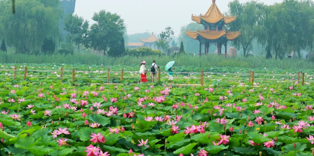 ���ֹ���F66��(�й���)�ٷ���վ