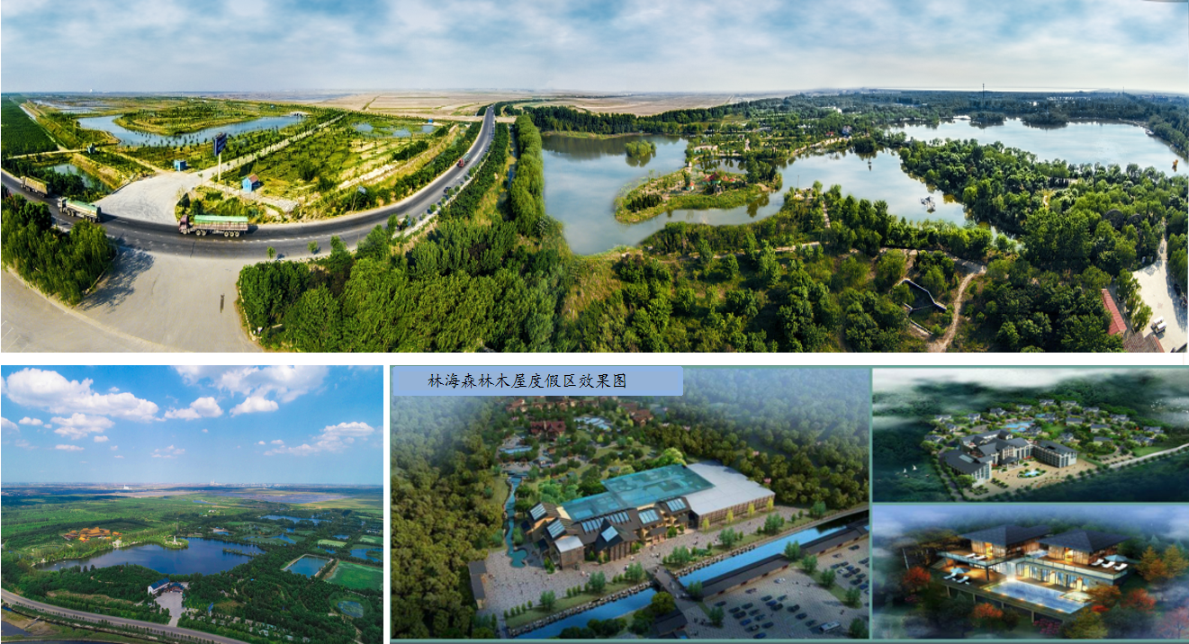 ���ֹ���F66��(�й���)�ٷ���վ