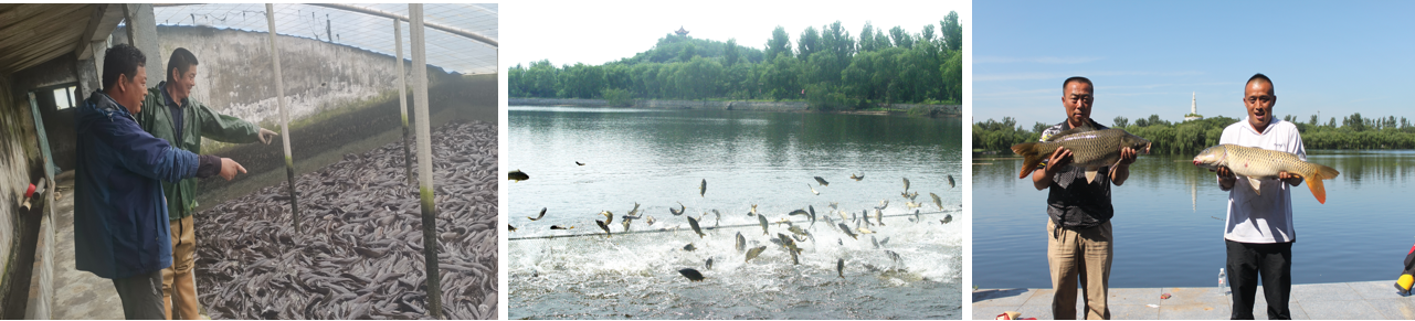 ���ֹ���F66��(�й���)�ٷ���վ