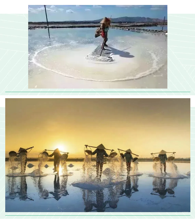 ���ֹ���F66��(�й���)�ٷ���վ