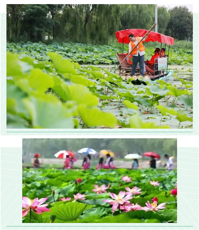 ���ֹ���F66��(�й���)�ٷ���վ