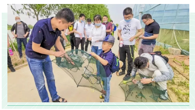 ���ֹ���F66��(�й���)�ٷ���վ