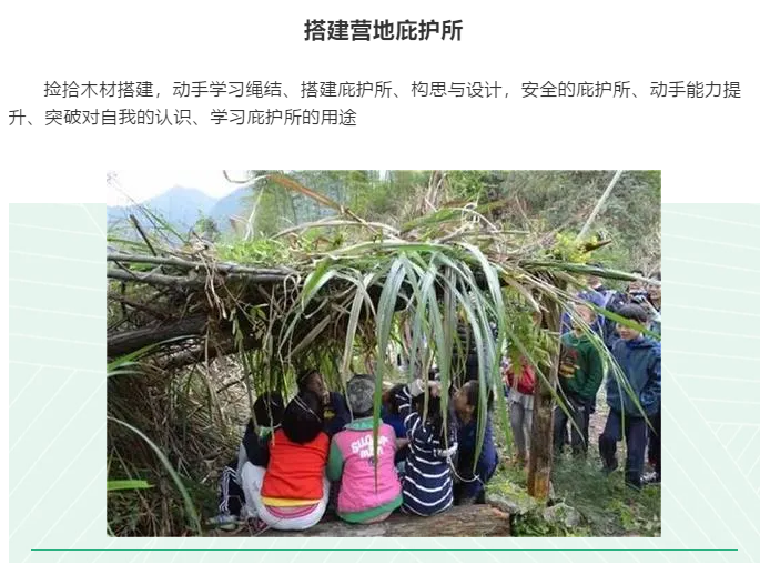 ���ֹ���F66��(�й���)�ٷ���վ