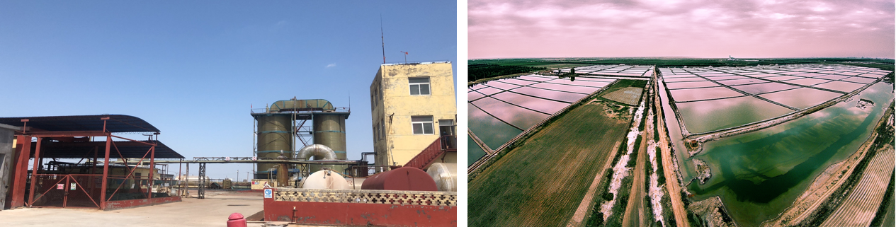 ���ֹ���F66��(�й���)�ٷ���վ