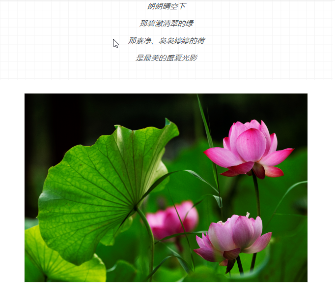 ���ֹ���F66��(�й���)�ٷ���վ