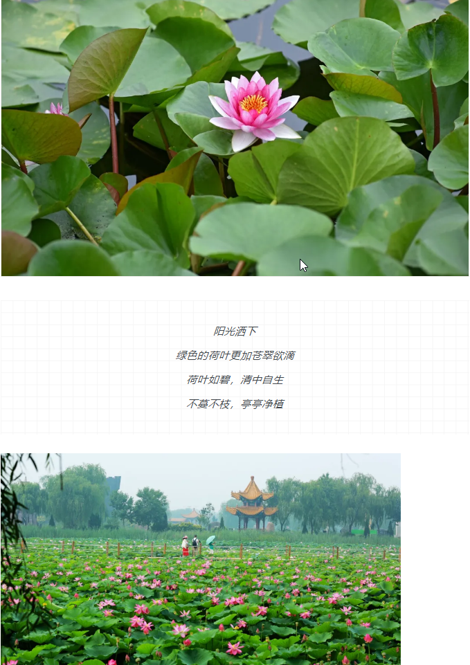 ���ֹ���F66��(�й���)�ٷ���վ