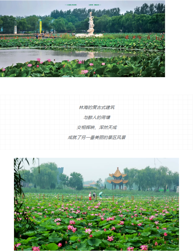 ���ֹ���F66��(�й���)�ٷ���վ