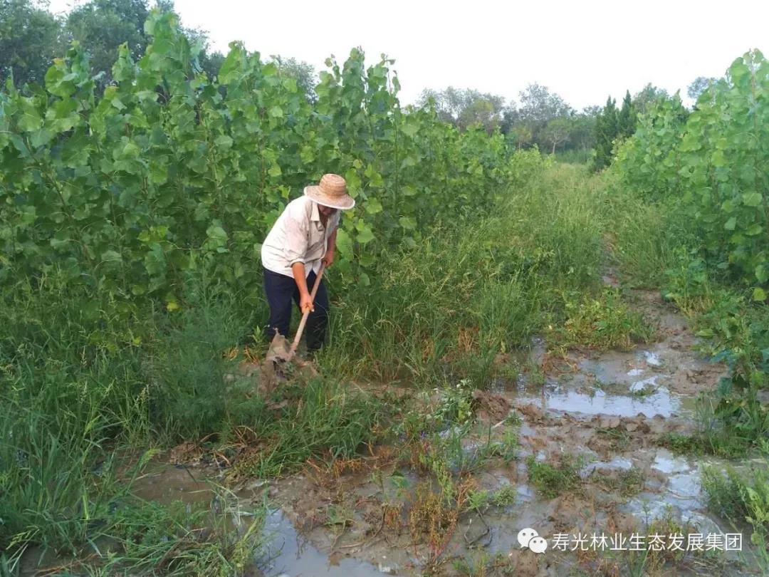 ���ֹ���F66��(�й���)�ٷ���վ