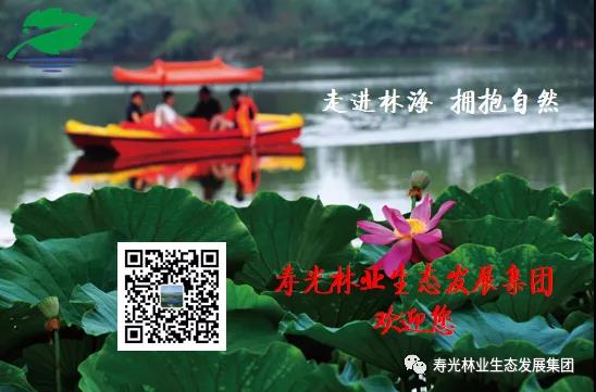 ���ֹ���F66��(�й���)�ٷ���վ