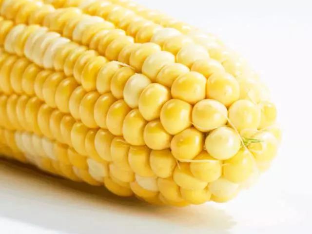 ���ֹ���F66��(�й���)�ٷ���վ