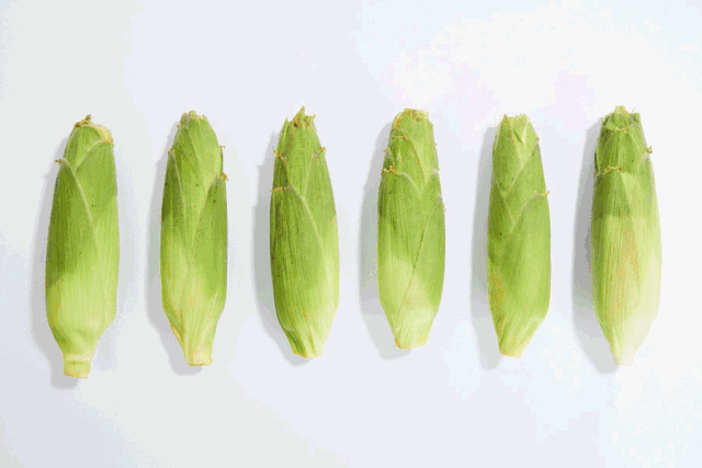 ���ֹ���F66��(�й���)�ٷ���վ