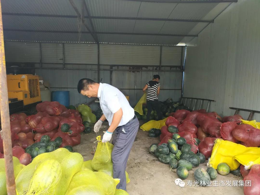 ���ֹ���F66��(�й���)�ٷ���վ