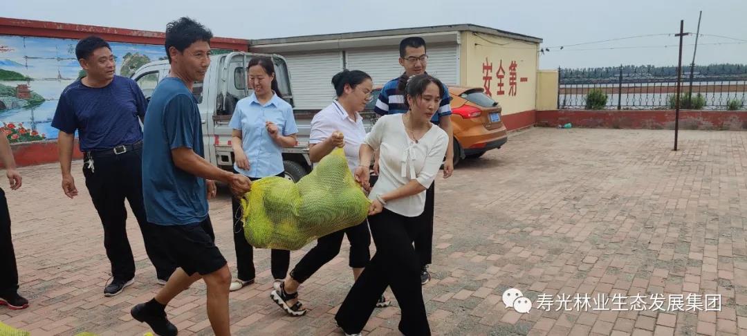 ���ֹ���F66��(�й���)�ٷ���վ