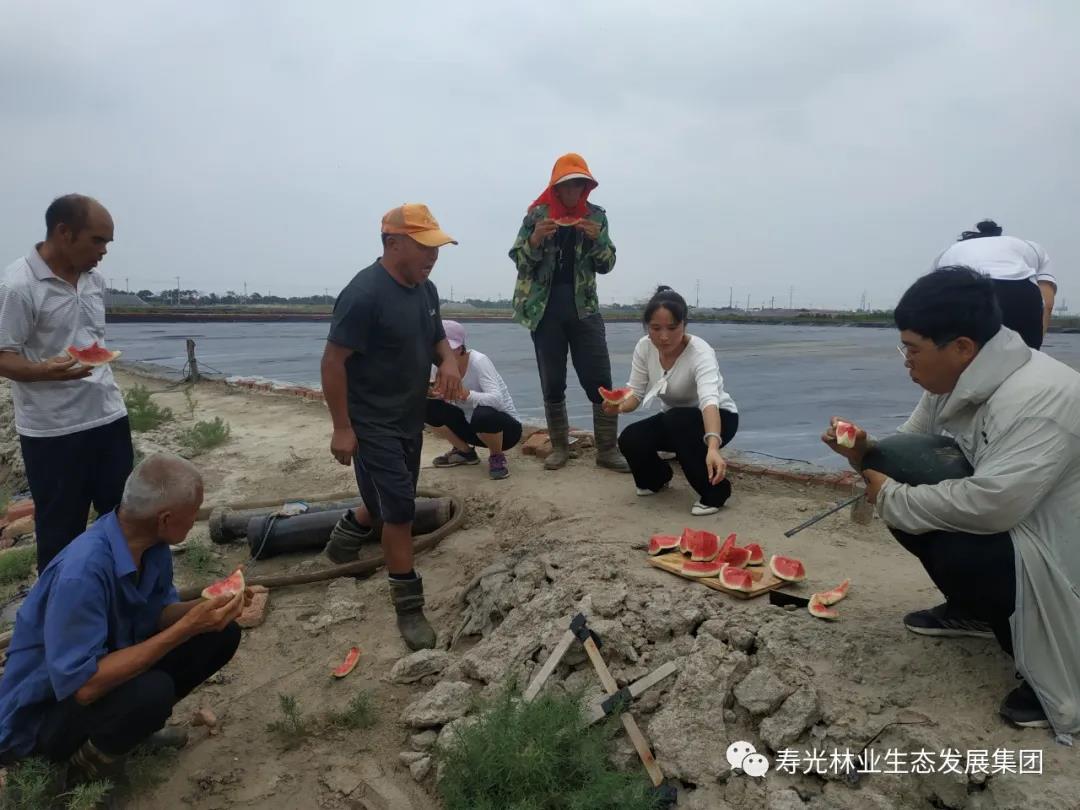 ���ֹ���F66��(�й���)�ٷ���վ